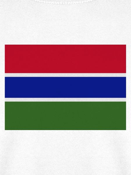Gambische Flagge