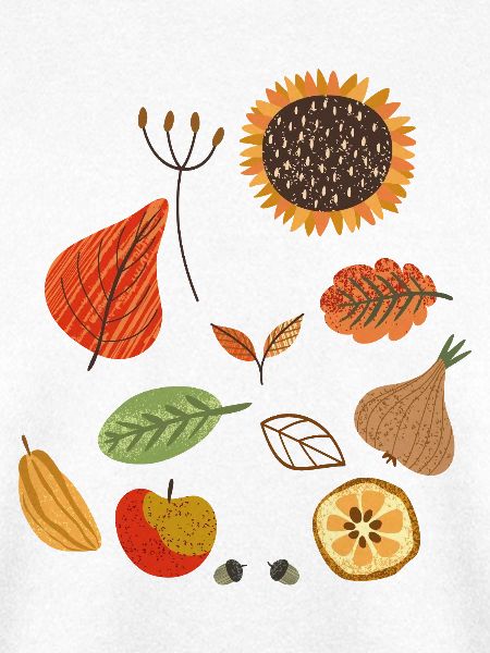 Herbst Liebhaber