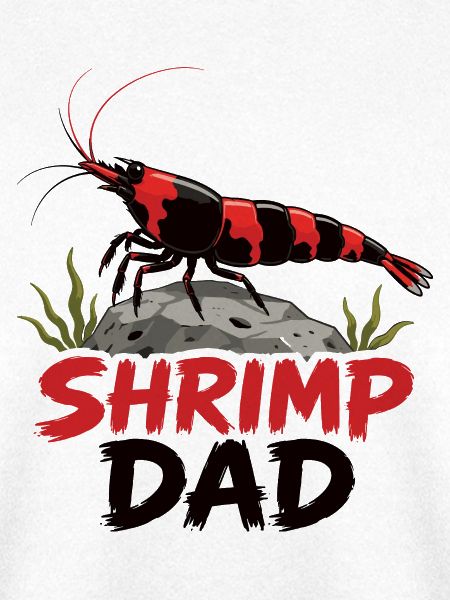 Shrimp Dad Zwerggarnele