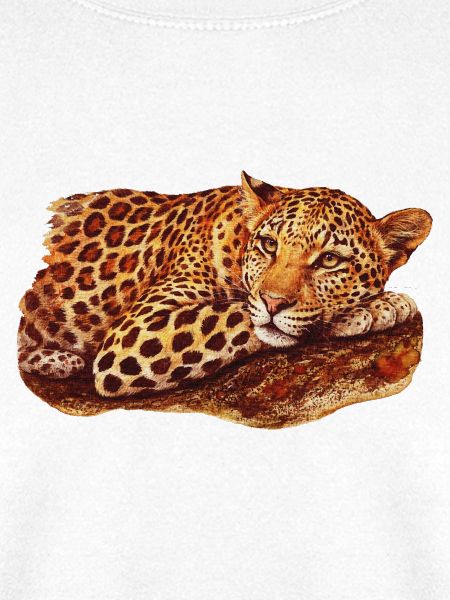liegende Leopardin, raubkatzen