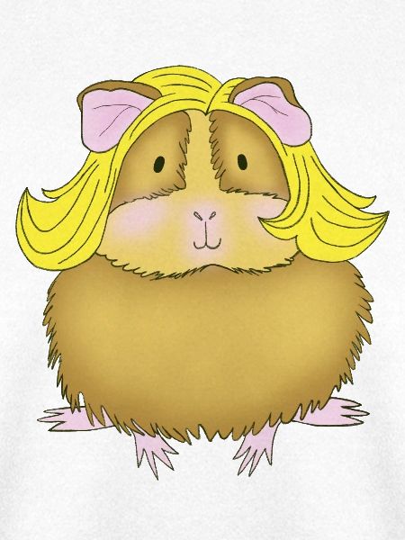Meerschweinchen Blond Glamour