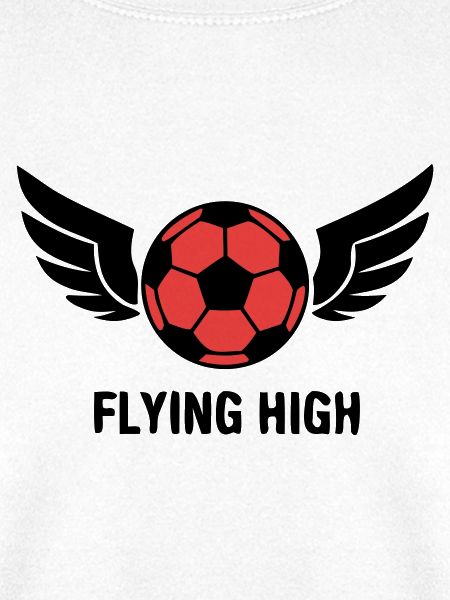 Fussball Fliegende Fluegel Logo
