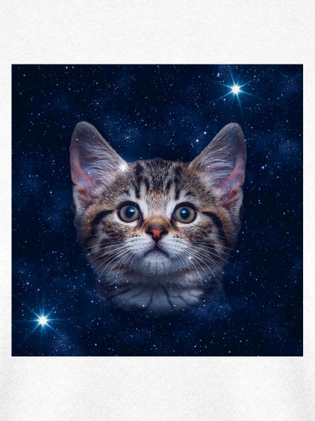 Katzenstern im Weltraum