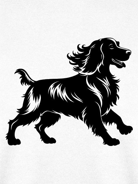 Amerikanischer Cocker Spaniel Hundegang