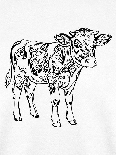 Kuh Kalb Geschenk Bauern Landwirte 