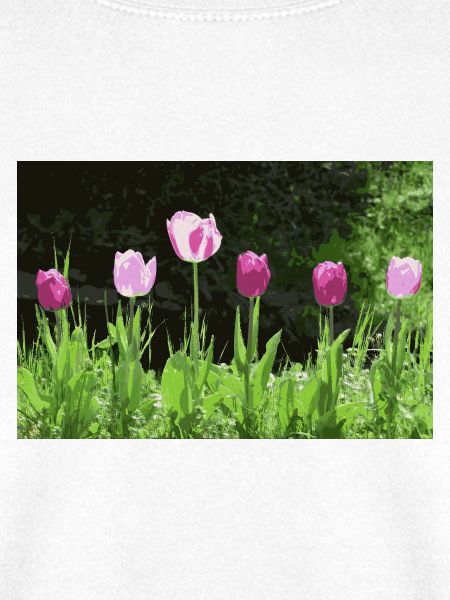 Tulpen im Frühling