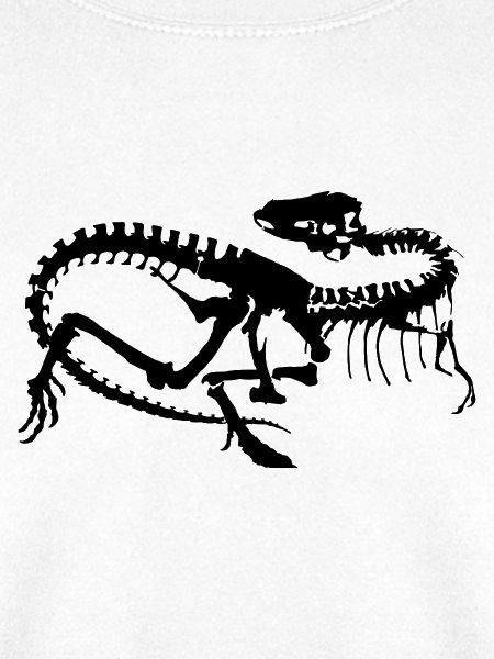 Dinosaurier Skelett Silhouette (1c)