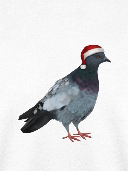 Weihnachtstaube - Taube mit Weihnachtsmütze