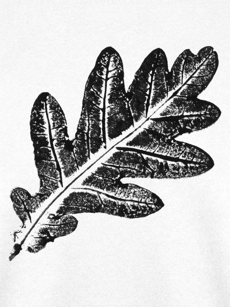 Eichenblatt - Natur & Wald Botanik Design
