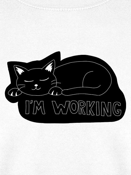 Schlafende Katze bei der Arbeit