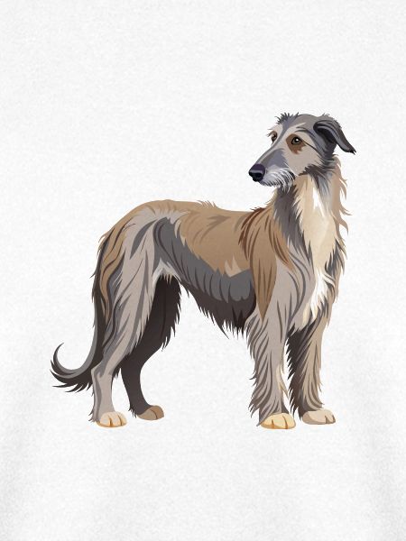 Irischer Wolfshund stehend