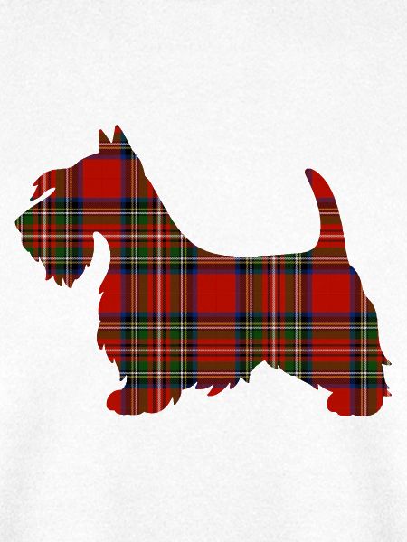 Tartan Scottie Hund | Pyrenäen-Linienlabor