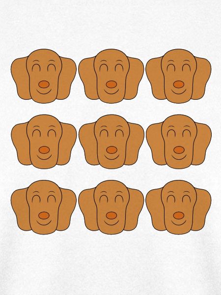 Süßes Dackel-Hundegesicht