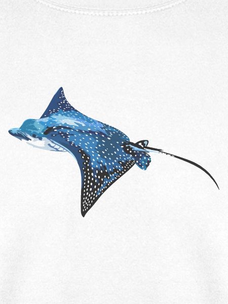 Mantarochen im Ozeanblau