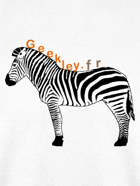 GEEKLEY – Das Zebra – Offizielles Emblem