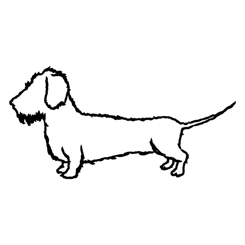 Dackel Rauhaardeckel Hundehalter