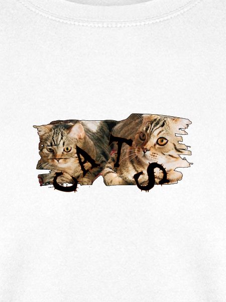 Katzen-Collage: Zerrissene Fellkunst