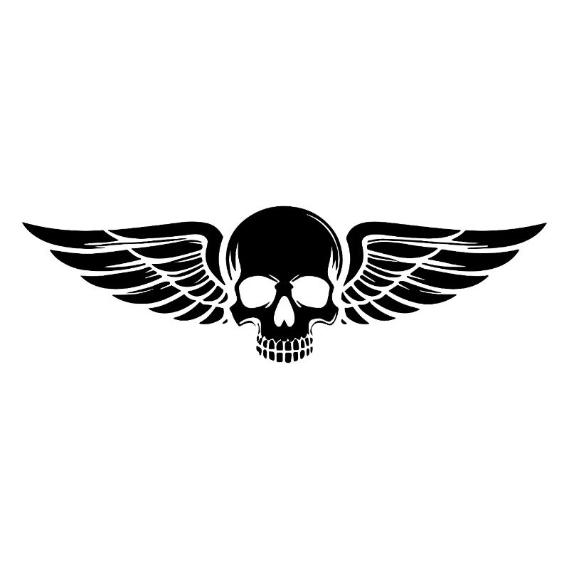Skull Wings Biker Motorcycling