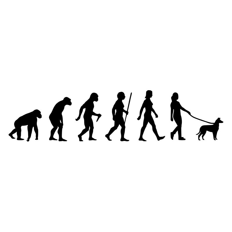 Evolution Kurzhaarcollie Frau