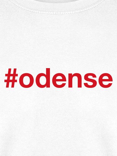ODENSE Denmark Dänemark