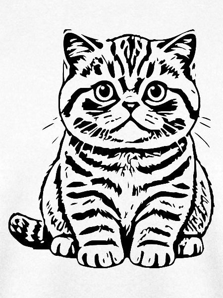 Britisch Kurzhaar Katze Tigerkatze Katzenshirt 