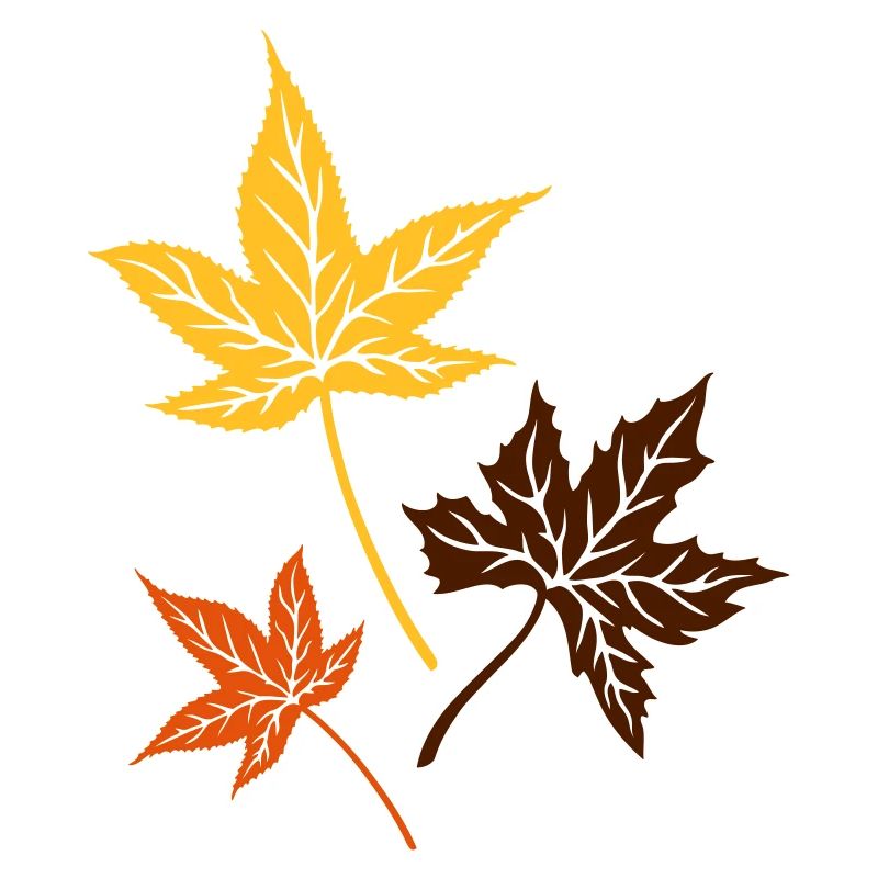 Les feuilles d'automne. Érable, été indien. Canada