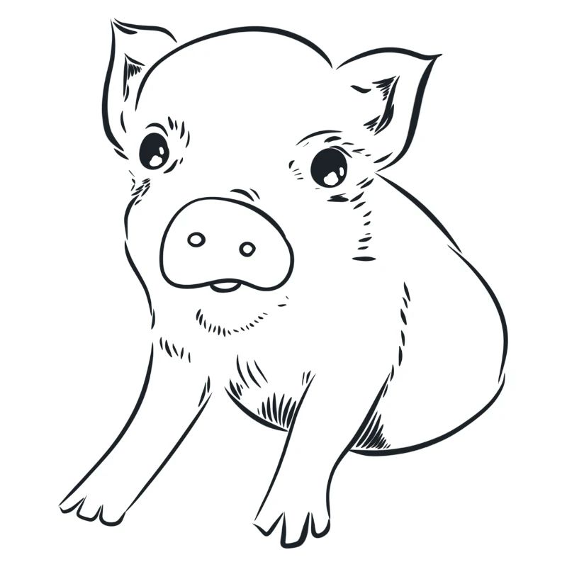 Ferkel, Grafik schwarz-weiss