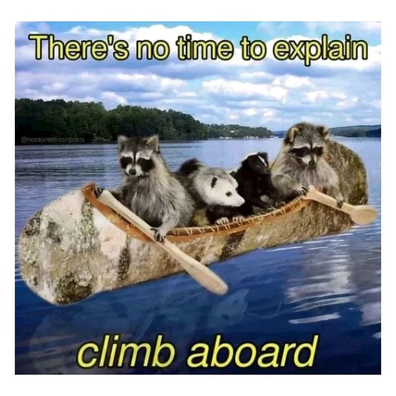 Waschbären-Flussrettungsboot