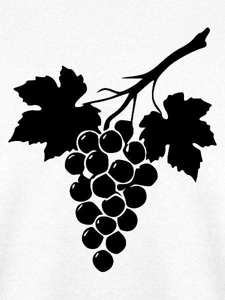 Wein Weinrebe Weintrauben schwarz Geschenk 