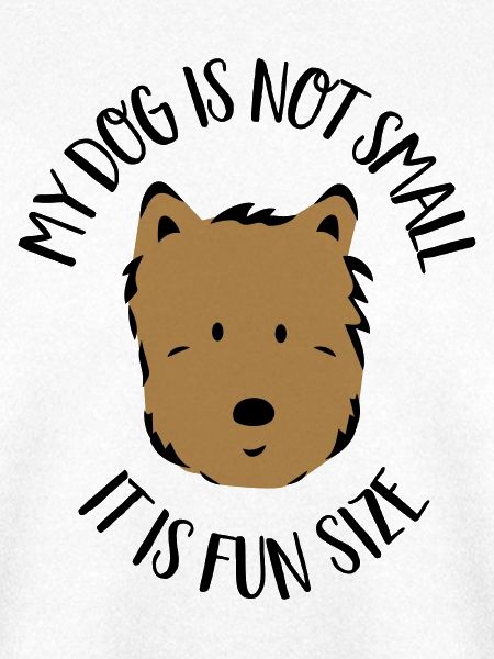 Kleiner Hund