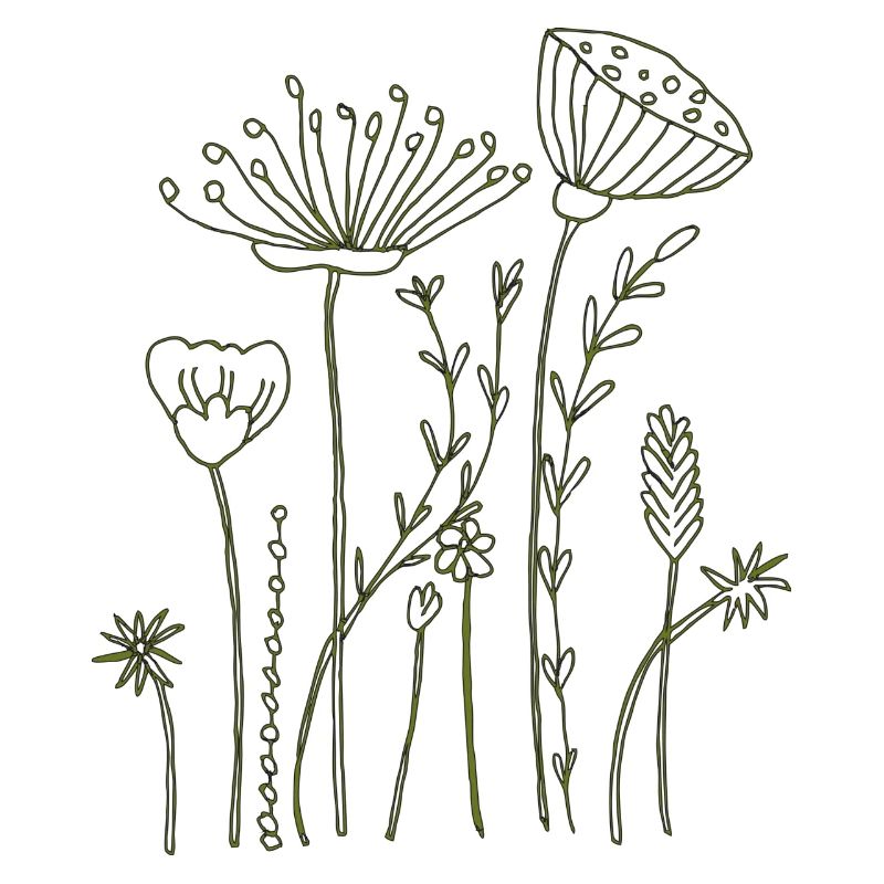 Fleurs séchées