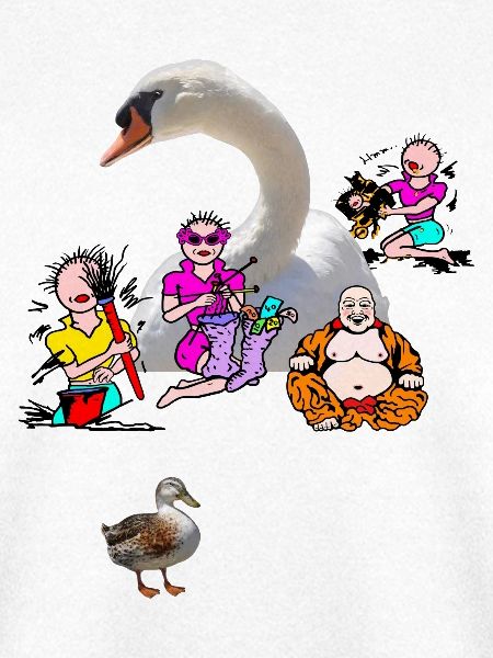 Swan Company