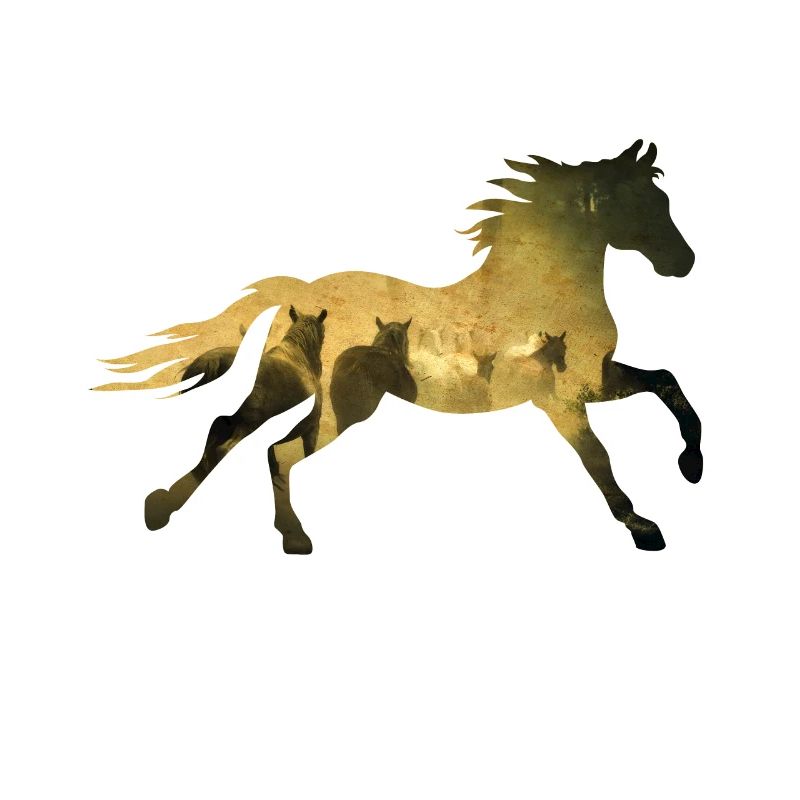 Herde im Galopp Silhouette