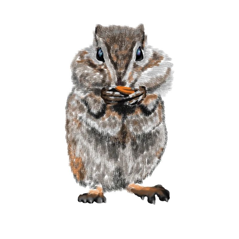 Hamster