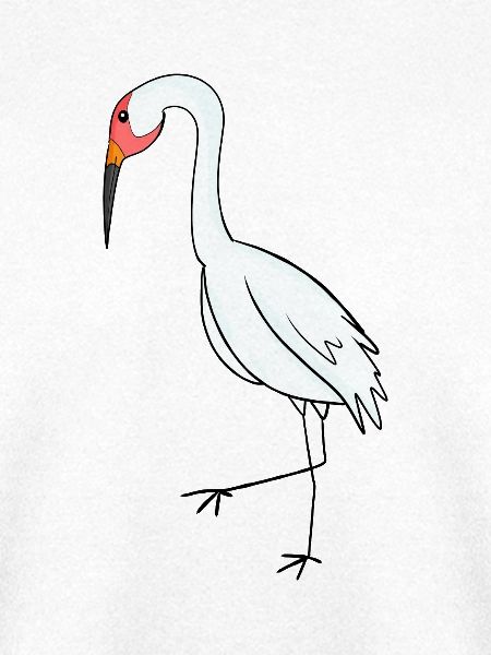 Zugvögel Kranich Vogel