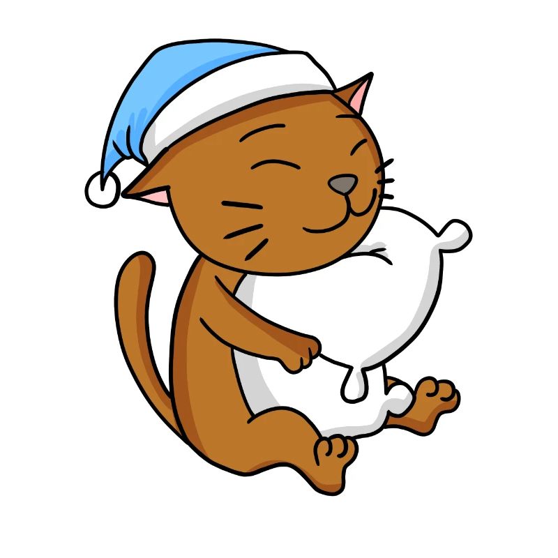 Katze Katzenrasse Abessinierkatze