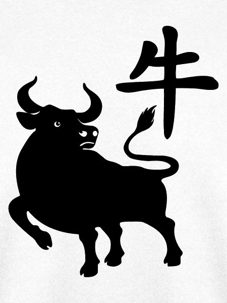 Chinesisches Zeichenbetriebssystem mit OS-Bild, Schatten