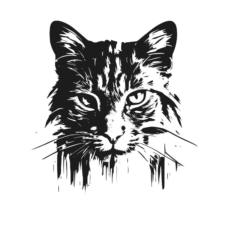 Katze 3