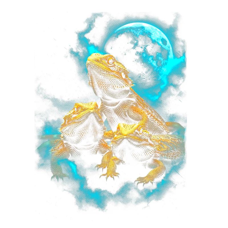 Trio de dragons barbus