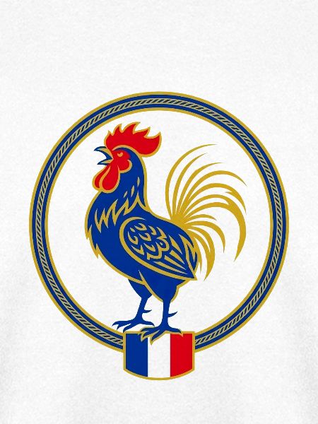 Wappen Frankreich Gallischer Hahn Flagge