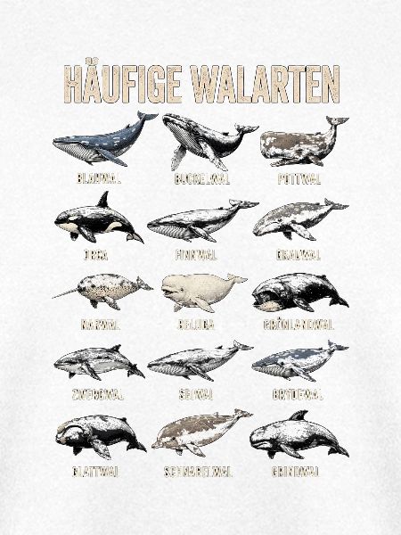 Haeufige Walarten Ozean Tierposter Art
