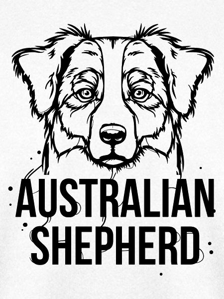 Australian Shepherd