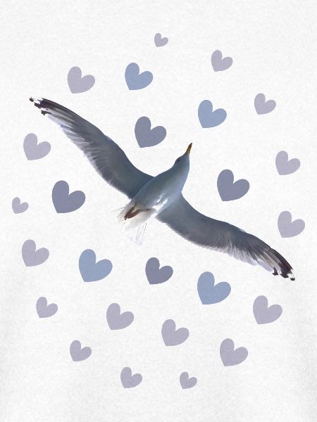 Elegante Möwenflug Illustration Möwe Herzen