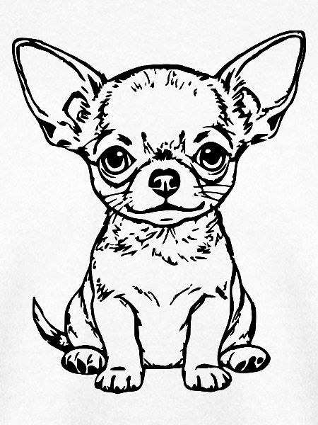 Chihuahua Geschenk Hundeliebhaber 