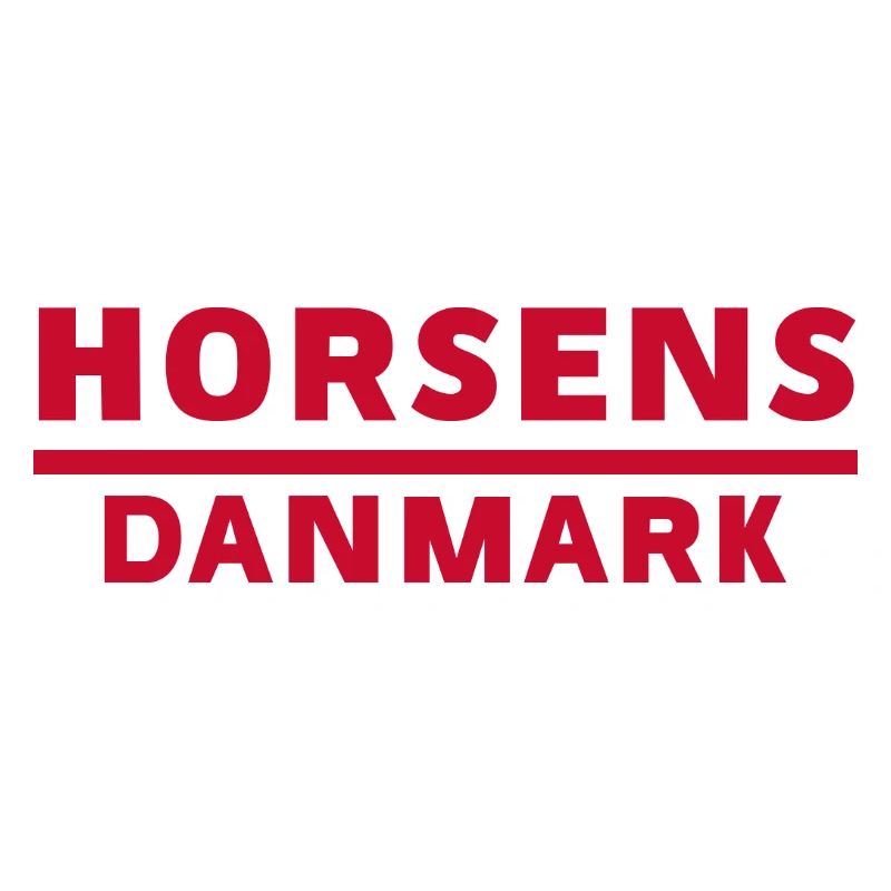 Horsens Dänemark Stadt Motiv