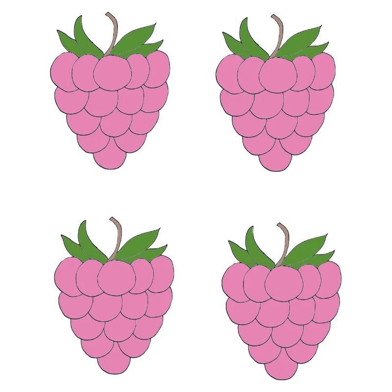 Raspberry Double Cluster Pattern