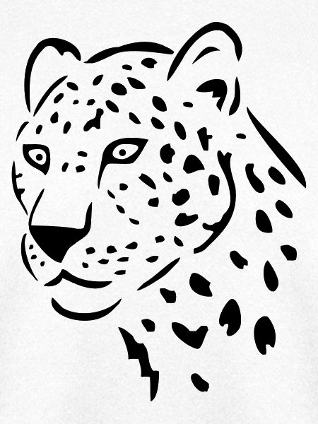 leopard