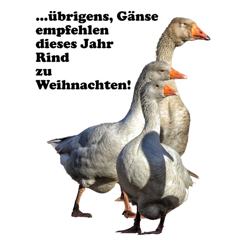 Weihnachts-Gänseempfehlung Rind