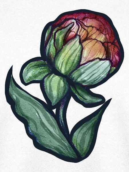 Aquarell Pfingstrosenblüte