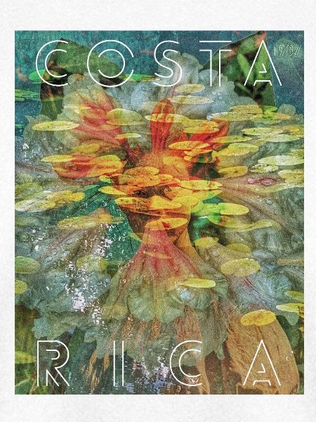 Costa Rica Tropenblätter Collage